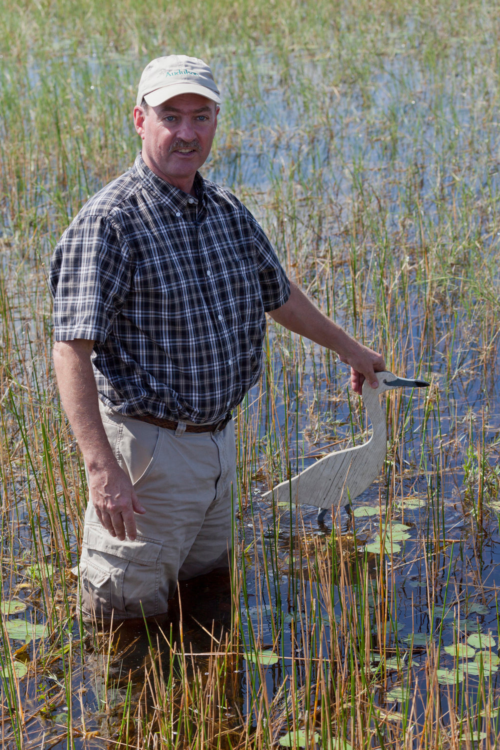 As Everglades Science Coordinator, Paul N. Gray, Ph.D., provides science support for Audubon policy teams on issues ranging from water quality, water management, agricultural best management practices, and ecosystem and bird conservation issues.